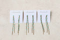 Turquoise Dotted Gold Duster Statement Earrings